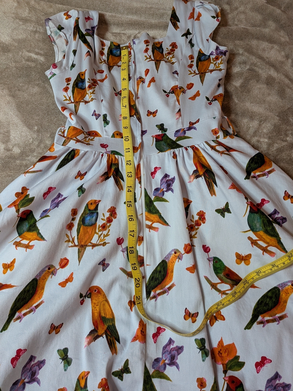 Blue Bird-Print Midi Dress - Classic Square Neck - Picture 14 of 14